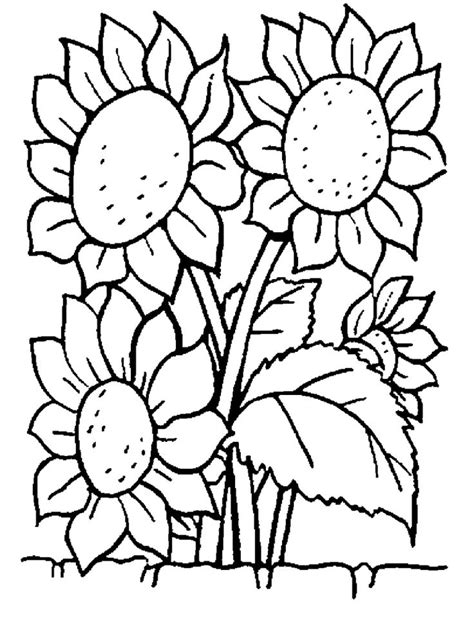 Some Common Variations of the Flower Coloring Pages | Coloriage fleur ...