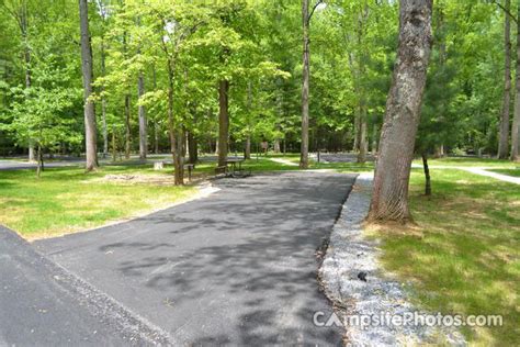 Roan Mountain State Park - Campsite Photos & Reservations