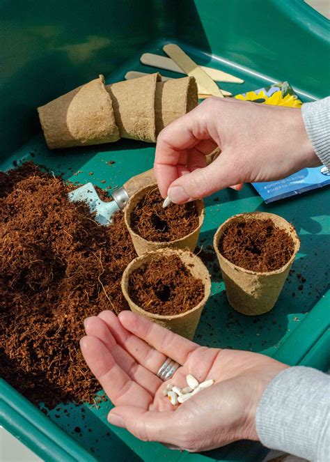 Coco coir brick: eco friendly compost from Coco & Coir - Growing Family