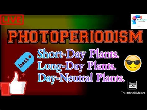 💥PHOTOPERIODISM💥//💥Complete🎞Information with Best👌Examples💥 - YouTube