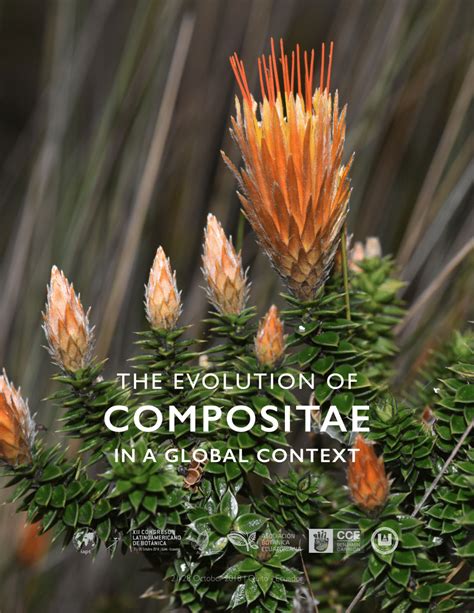 (PDF) The evolution of Compositae in a Global context