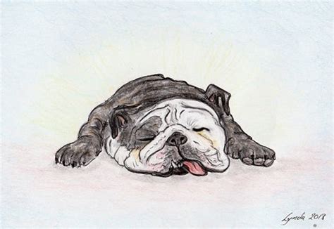 Sleeping Bulldog Print 20x25cm Original Dog Asleep | Etsy