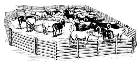 animal pen clipart black and white - Clip Art Library