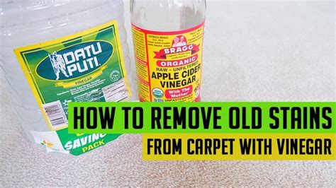 How To Remove Old Stains From Carpet With Vinegar