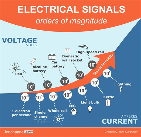 Electrical Signals – ION CHANNEL LIBRARY