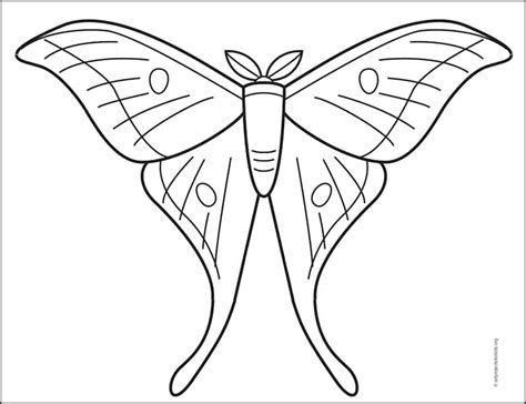 Easy How to Draw a Moth Tutorial and Moth Coloring Page