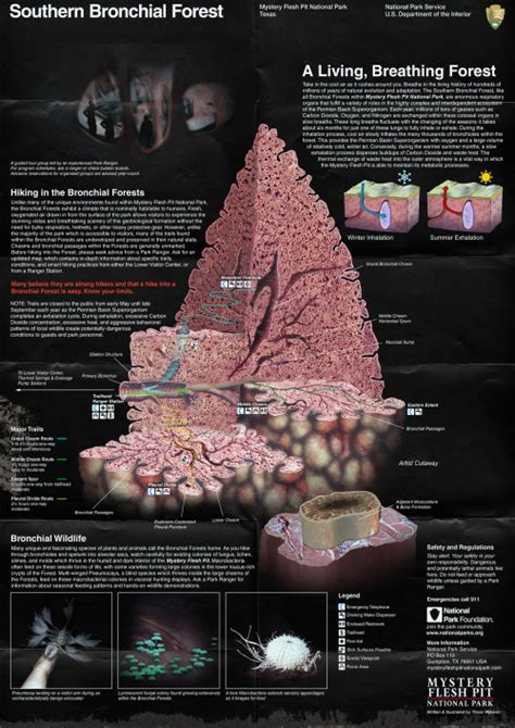 Mystery Flesh Pit National Park