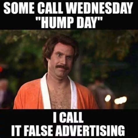 Funny Hump Day Memes to Celebrate Wednesday - Lola Lambchops