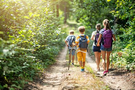 Family Enjoying Hiking Together Stock Photo - Download Image Now - iStock