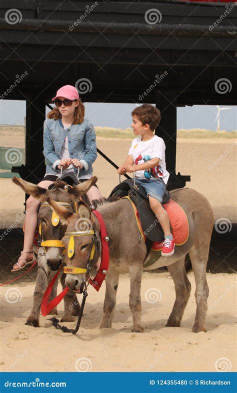 Riding Donkeys on the Beach Editorial Image - Image of donkeys, mule ...