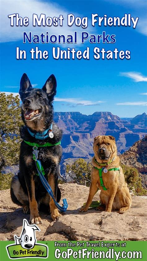 The Most Dog Friendly National Parks in America | GoPetFriendly | Road trip with dog, Dog ...