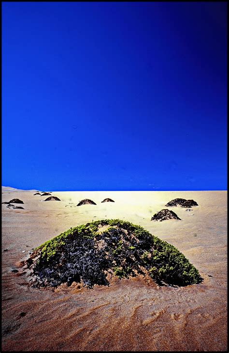 Deserts have life too | Namib Desert Namibia | Michael J Breen | Flickr