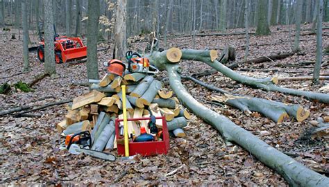 Cutting and Splitting Firewood | Life in the Finger Lakes