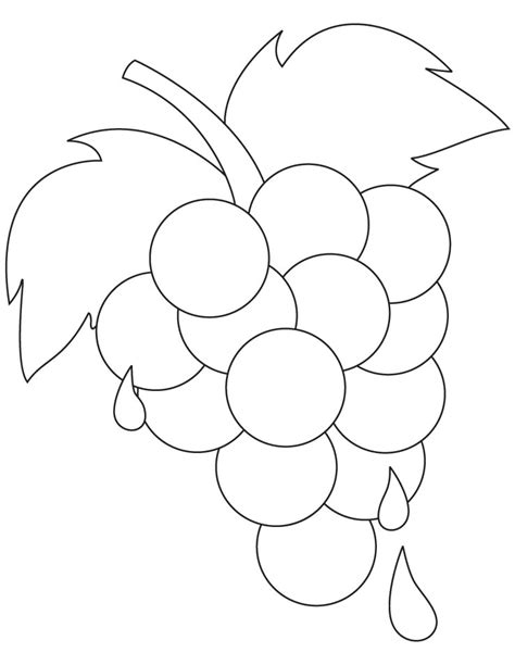 Fresh ripe grapes coloring pages | Download Free Fresh ripe grapes coloring pages for kids ...