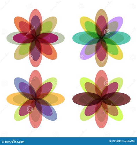 Flowers with Colorful Petals Stock Vector - Illustration of daisy, pink ...