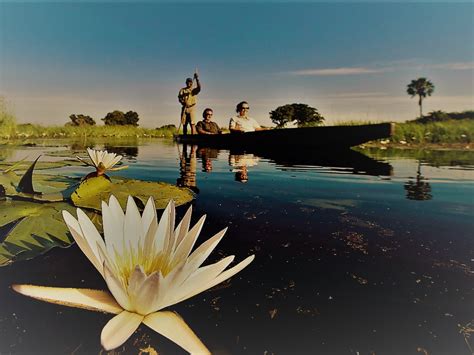 Relax On A Mokoro Ride In The Okavango Delta - TripMyCity