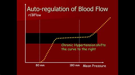 Autoregulation of Cerebral Blood - YouTube