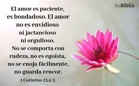 93 versículos de amor en la Biblia (lindos e inspiradores) - Biblia