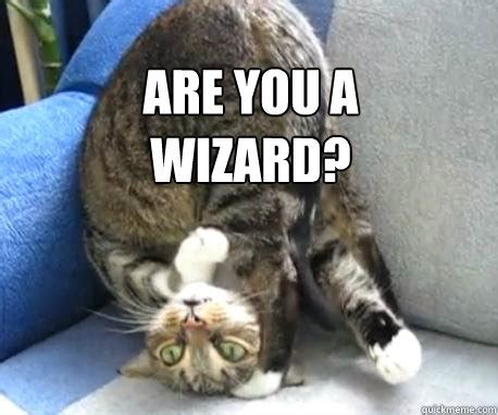 are you a wizard? - Upside down cat - quickmeme