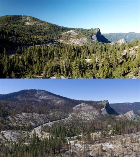 A Year After the Caldor Fire | Sierra Nevada Conservancy