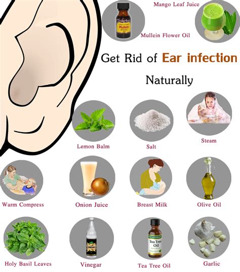 Related image | Ear infection remedy, Ear infection home remedies, Ear ...