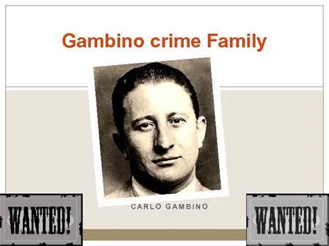 Gambino crime Family CARLO GAMBINO AT FIRST