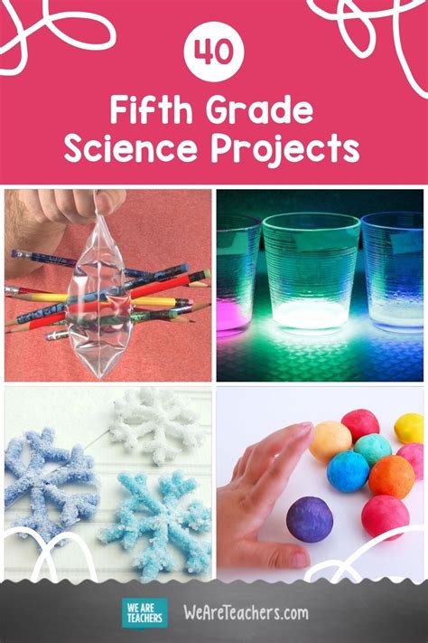 40 Fifth Grade Science Projects and Experiments for Hands-On Learning ...