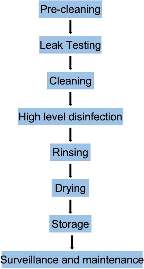 Steps of endoscope reprocessing | Download Scientific Diagram