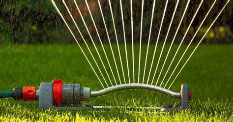 Top 14 Lawn Sprinkler Types - Herbvity