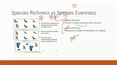 Species Richness and Evenness - YouTube