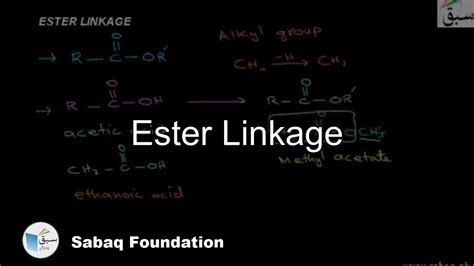 Ester Linkage, Chemistry Lecture | Sabaq.pk - YouTube