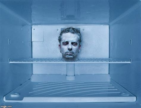 Exploring The Life And Legacy Of Ted Williams: Cryonics Ethics And The Controversial Decision To ...