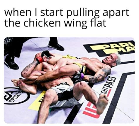 Wing Ding : r/memes