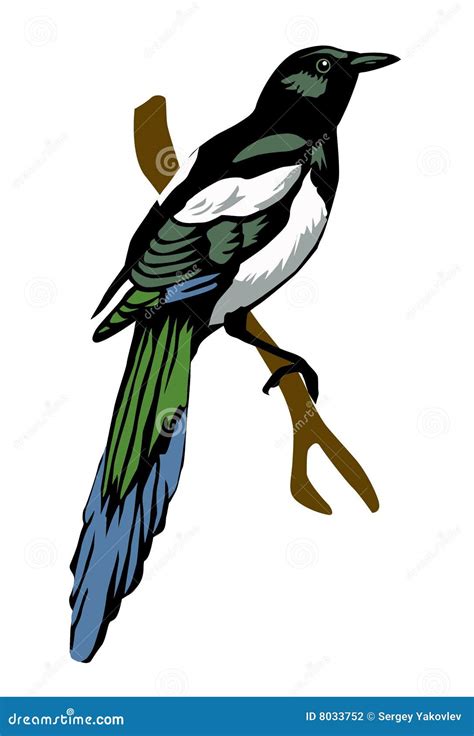 Magpie Cartoon Vector | CartoonDealer.com #71779017