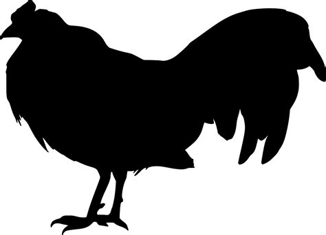 SVG > animal bird hen poultry - Free SVG Image & Icon. | SVG Silh