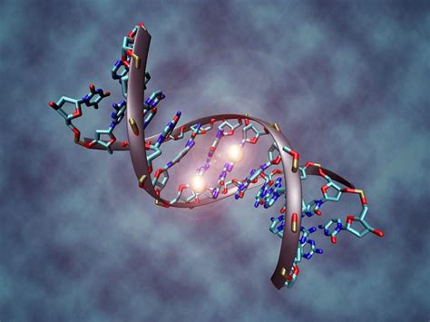 DNA Methylation | McCoy Lab | Washington University in St. Louis