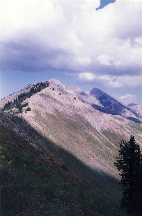 The Mystery Of Utah History: Mount Nebo: The 1920 hopes for an observatory on its summit