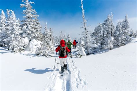 How to Snowshoe: A Beginners' Guide to the Basics