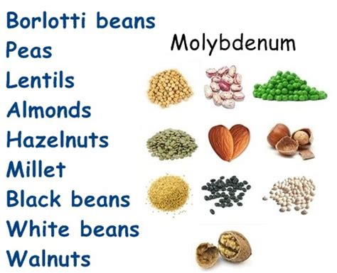 Molybdenum - NatureWord