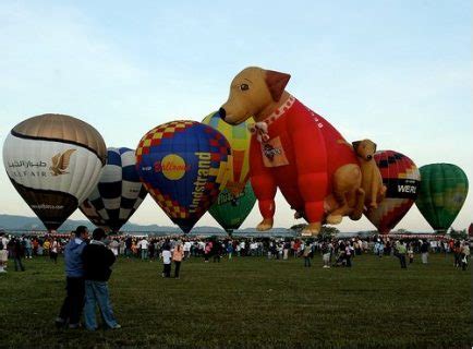 Hot Air Balloon Dogs