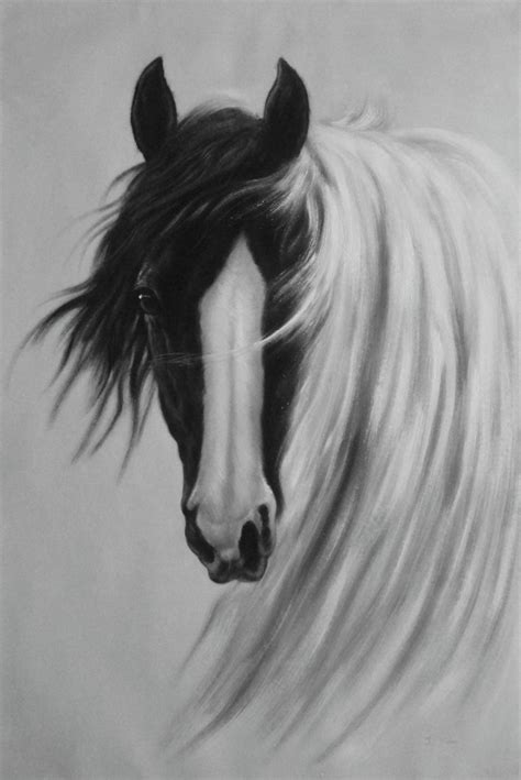 Gorgeous Black White Horse With Long and Flowing White Manes Oil ...