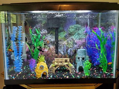 GLOFISH Fluorescent Aquarium Gravel, Black, 5-lb bag - Chewy.com