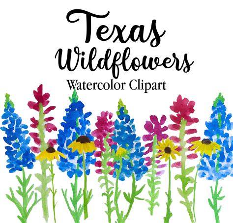 Texas Wildflowers Watercolor Clipart Bundle Hand Painted | Etsy