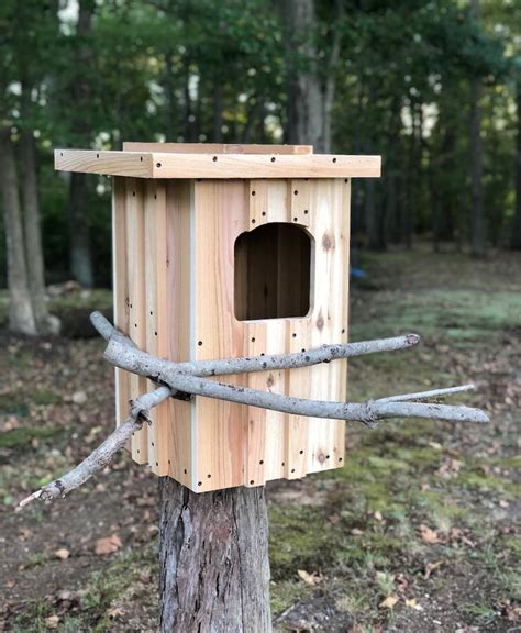 Barred Owl Nest Box Custom Options Available | Etsy