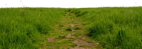 Grass Path 1 by MindSqueeZe on DeviantArt