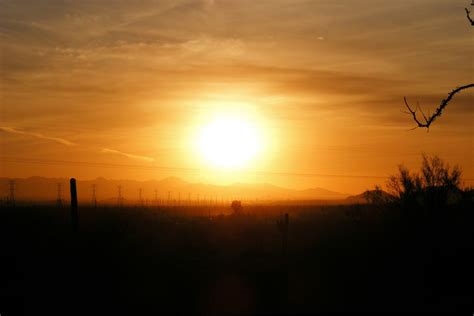 Free Images : nature, horizon, silhouette, cactus, cloud, sky, sun, sunrise, sunset, field ...