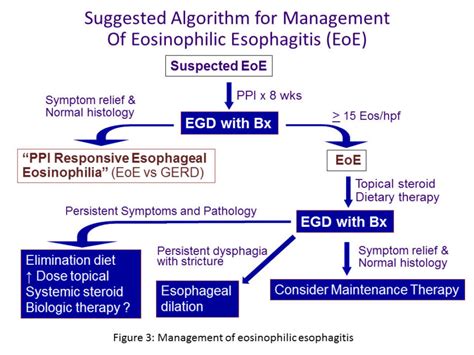 Eosinophilic esophagitis - Cancer Therapy Advisor