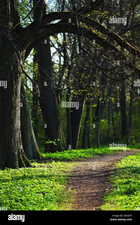 Spring Park nature background Stock Photo - Alamy