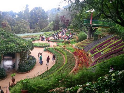 Ooty botanical garden 11