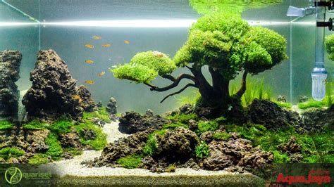 Pin by Stephanus Mardianto on Aquascape | Aquascape aquarium, Aquascape ...